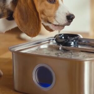 OneIsAll NIB Pet Fountain